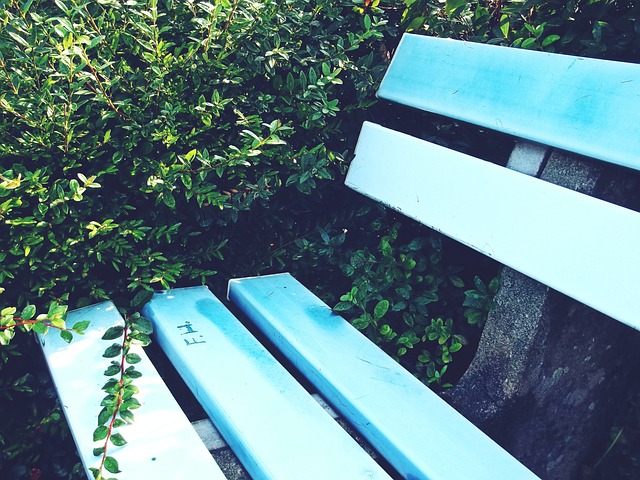 伤病对于职 伤病对于职