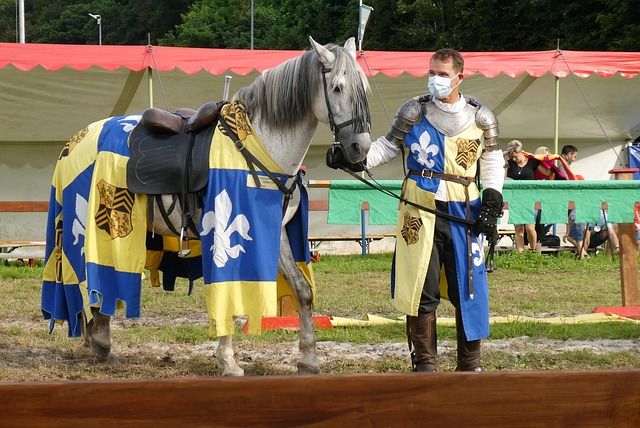 不可或缺的 不可或缺的