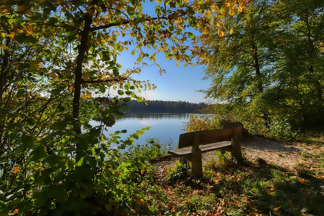过去几年里 过去几年里